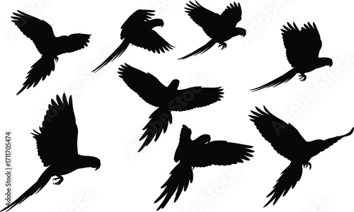 Parrot silhouette set featuring seven dynamic flight poses with expressive wings, curved beaks, and tail detail for wildlife design use