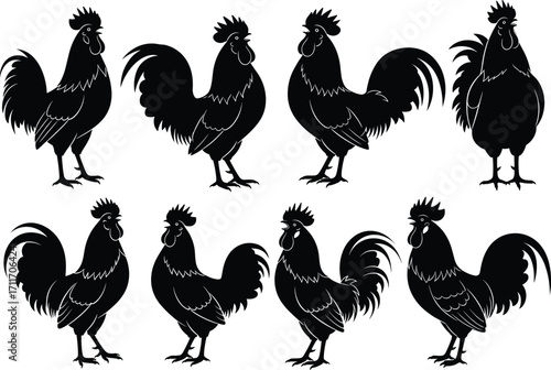 Rooster silhouette set featuring eight stylized poses with varied tail feathers, comb shapes, and postures for farm-themed design use