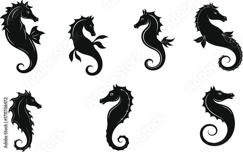 Seahorse silhouette set featuring curled tails, varied fin styles, and artistic body contours for marine design, education, and illustration use