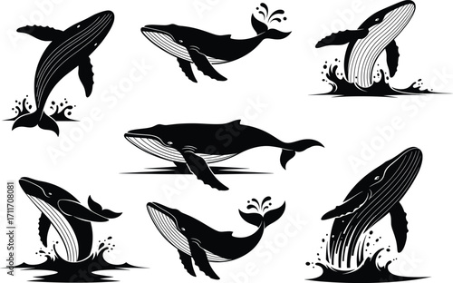 Whale illustration set featuring breaching, diving, and swimming poses with splash effects, blowhole spouts, and stylized anatomy for design use
