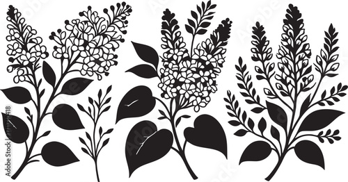 Black and white lilac flower vector illustration: floral design element eps silhouette
