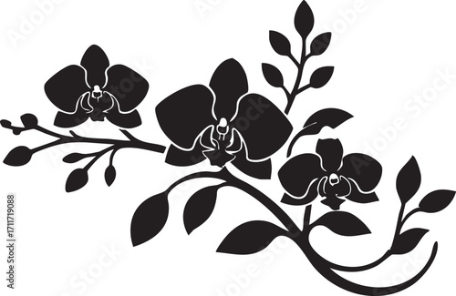 Orchid flower vector graphic: floral design element for crafts and decoration eps silhouette