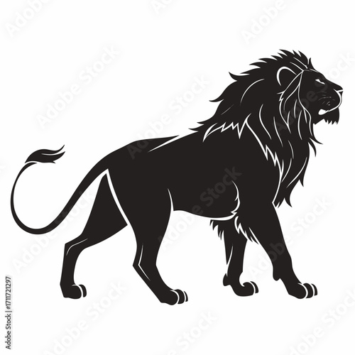 lion vector illustration