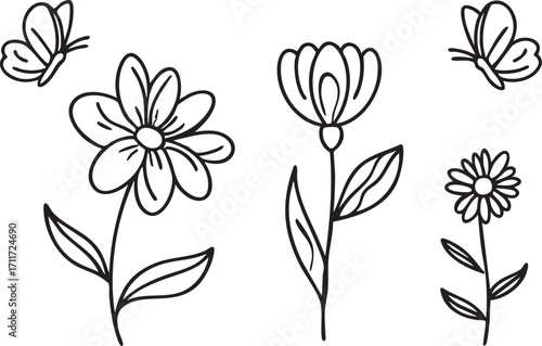 Flower and butterfly line art vector: floral outline illustration for coloring pages, crafts, and designs eps silhouette