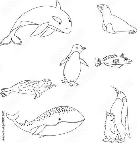 Wild animals of Antractica. Bundle of outline cartoon elements for coloring pages isolated on white background.