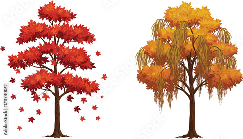 Red and yellow autumn trees, falling leaves, seasonal contrast, maple foliage, nature landscape, forest plants, botanical scene, outdoors