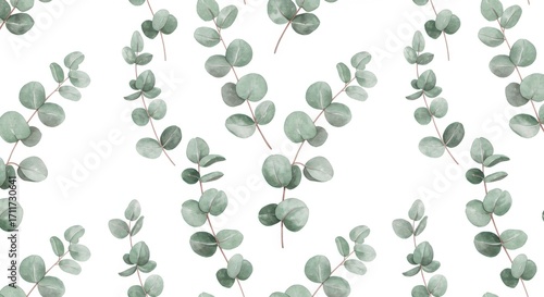 Watercolor Eucalyptus Leaves Pattern on White Background.