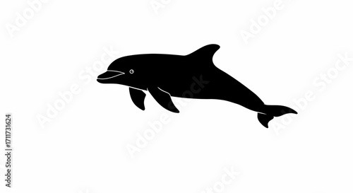 Silhouetted dolphin leaping ocean water wildlife aquatic mammal marine life