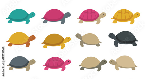 Cute cartoon tortoises assorted colors adorable animals collection fun wildlife