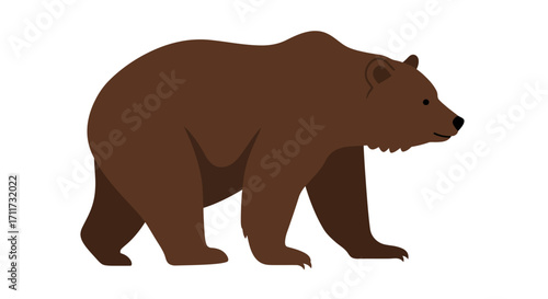 Majestic brown bear walking side view wild animal nature wildlife forest creature