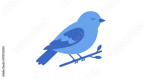 Charming blue bird perched on twig wildlife nature animal songbird delicate feathered creature