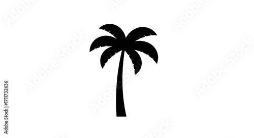 Silhouette of a single palm tree on for tropical design elements