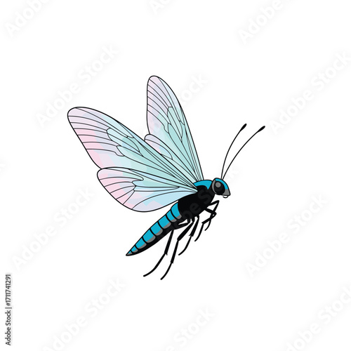 A delicate blue and pink insect with translucent wings takes flight.