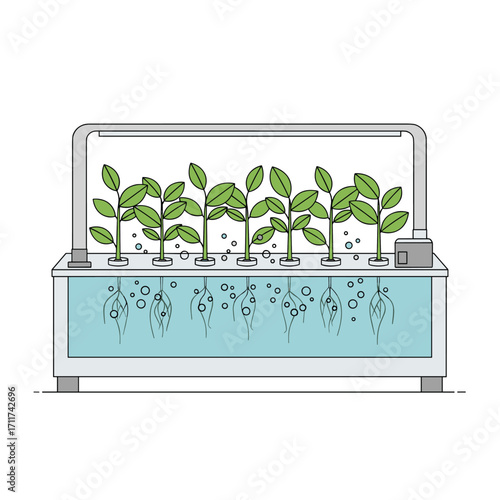 Hydroponic system for growing healthy plants without soil.