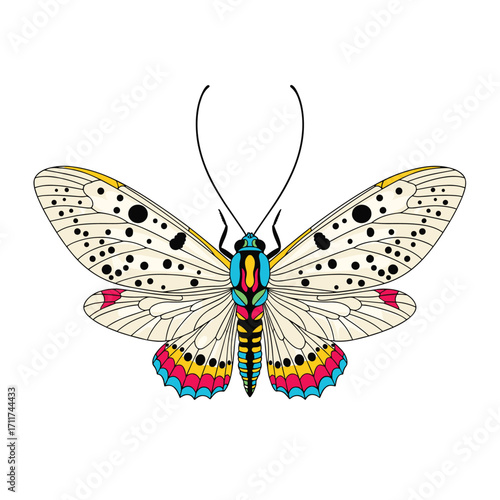 A striking insect with colorful markings and patterned wings.