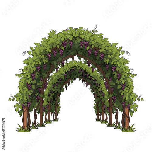A lush green garden archway adorned with ripe purple grapes.