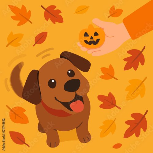 A cheerful brown dog looks up at a hand offering a tiny carved pumpkin, surrounded by vibrant autumn leaves, celebrating the festive Halloween season.