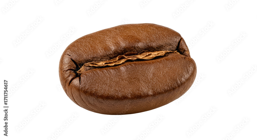 Fototapeta premium Single roasted coffee bean closeup view.