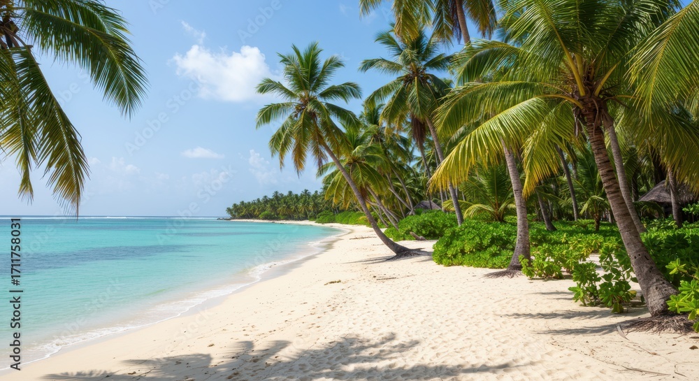 Fototapeta premium Pristine white sand beach stretches beneath swaying palm trees, a tranquil scene of tropical paradise.