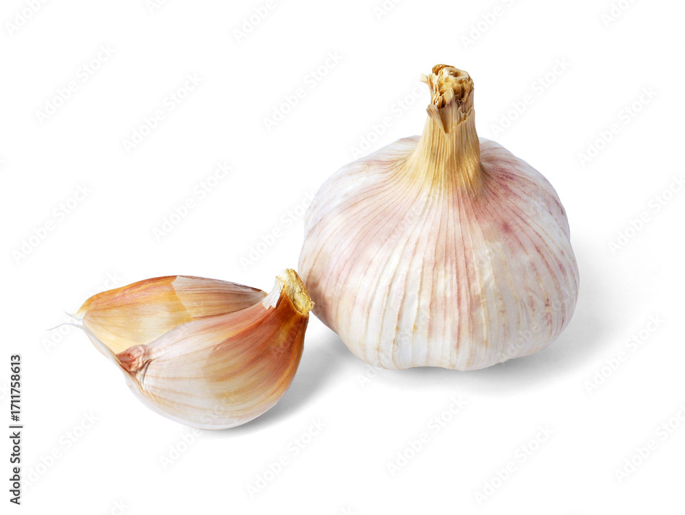 Obraz premium Garlic bulb isolated on white background. Selective Focus
