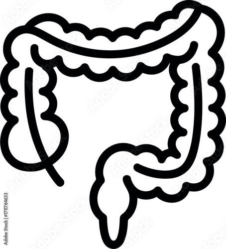 Stylized illustration of the human colon, representing digestive health and anatomy.