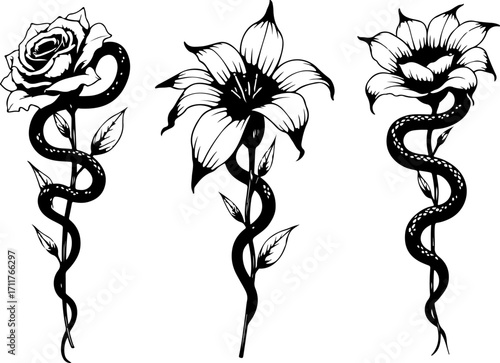 Serpent and Blossom Tattoo Designs bundle