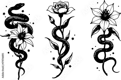 Serpent and Blossom Tattoo Designs bundle