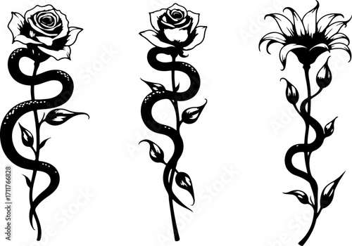 Serpent and Blossom Tattoo Designs bundle
