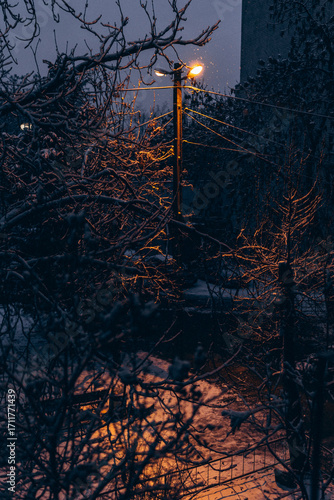 Reykjavik, the capital city of Iceland, at winter in night
