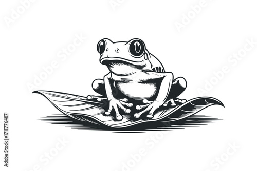 Stylized frog perched on a large leaf. Vector hand drawn illustration