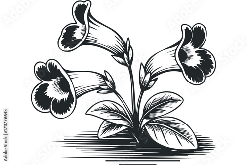 Engraved Bellflower Plant with Leaves and Stems. Vector hand drawn illustration
