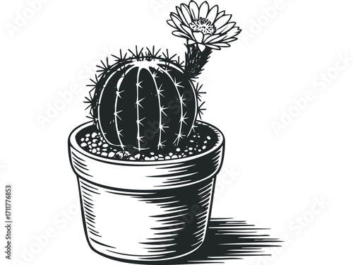 Potted cactus with blooming flower, monochrome line drawing. Vector hand drawn illustration