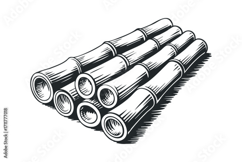 Stacked Bamboo Stalks. Vector hand drawn illustration