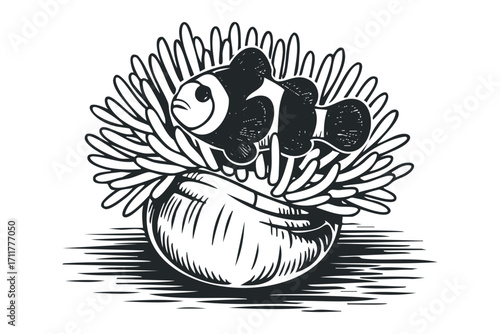 Clownfish nestled in anemone with. Vector hand drawn illustration