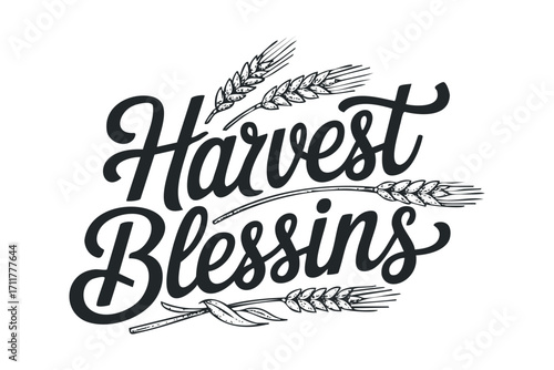 Harvest Blessings script text with wheat ears,. Vector hand drawn illustration