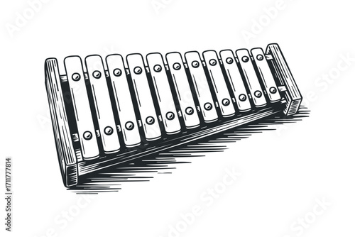 Wooden xylophone musical instrument isolated. Vector hand drawn illustration