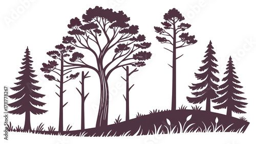 Cute flat illustration of pine tree silhouette, minimal design, transparent png.