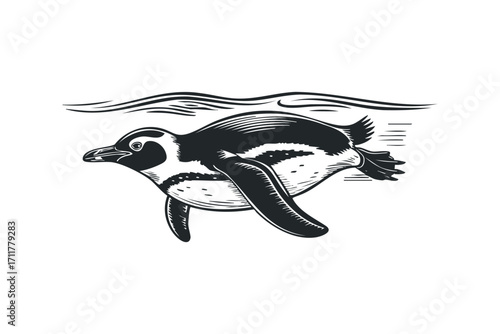 Penguin swimming underwater on a. Vector hand drawn illustration