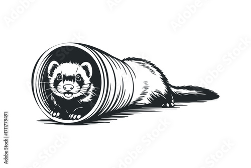 Ferret peeking from inside a cylindrical tunnel. Vector hand drawn illustration