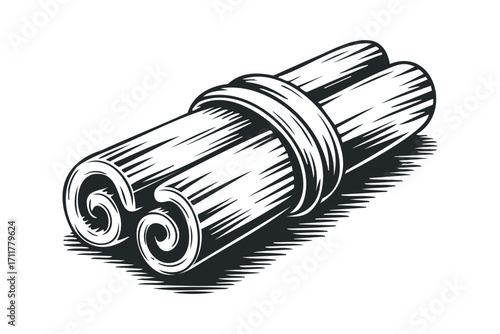 Two Cinnamon Sticks Tied Together. Vector hand drawn illustration
