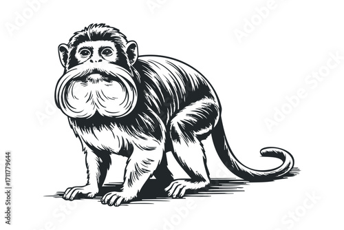Vintage Styled Monkey with Bushy Beard on White. Vector hand drawn illustration
