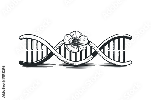 DNA double helix entwined with a single flower bud. Vector hand drawn illustration