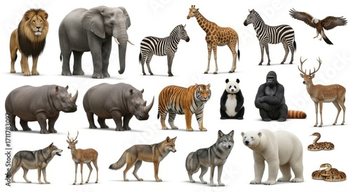 A diverse collection of wild animals from various continents, including mammals, birds, and reptiles, isolated on a white background.