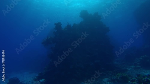 Wallpaper Mural Silhouette of a detached coral rock standing in the depths of a blue ocean under bright sunbeams in backlit (Contre-jour) Camera moving forwards, Slow motion Torontodigital.ca
