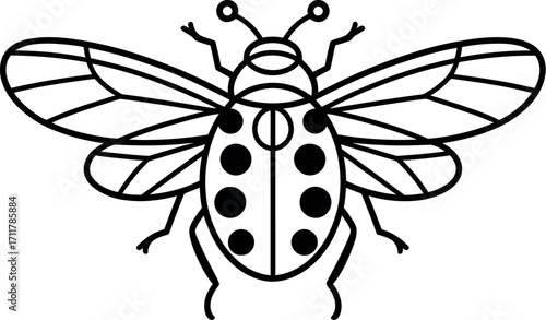 Stylized outline illustration of a ladybug with open wings, showcasing intricate wing patterns and spotted body.