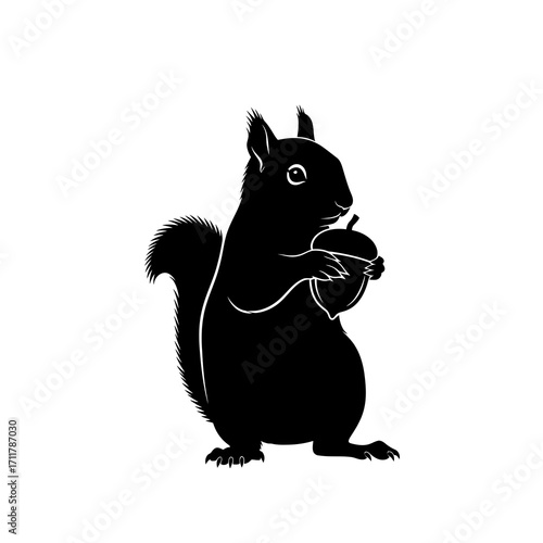 Black silhouette of a squirrel holding an acorn isolated on white background silhouette