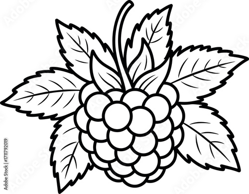 Simple line drawing of a ripe raspberry with green leaves, perfect for healthy eating or garden themes.