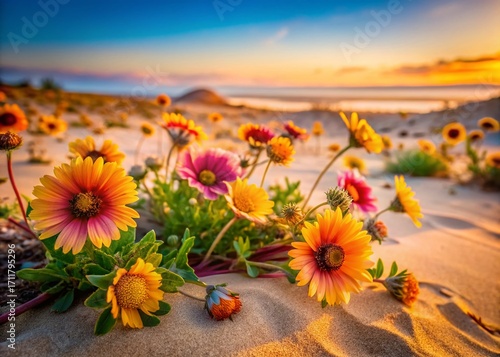 Vibrant Summer Flowers Blooming in Warm Sand - Stock Photo