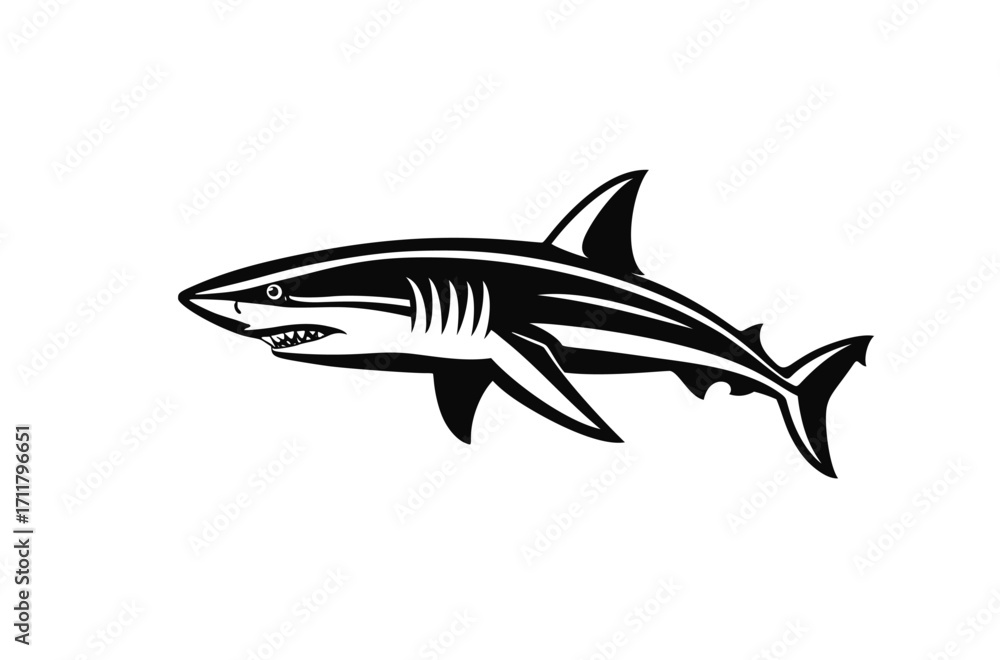 Obraz premium Big fish vector. Swimming shark illustration