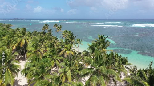 Palm trees over turquoise sea and white sand beach with coral reef and kitesurfers in Martinique